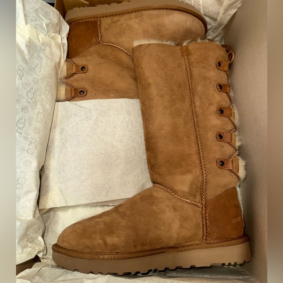 New UGG Kristabelle Tall boots - Corset lace up size 8
Chestnut - Picture 2 of 11